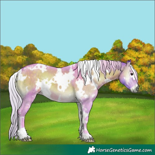 Horse Color:Watercolor White Spotted Silver Buckskin Onyx 