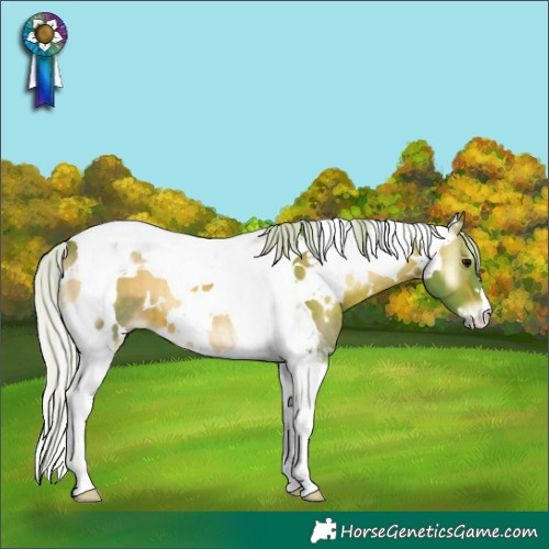 Horse Color:Watercolor White Spotted Silver Brown Onyx Tobiano Brindle