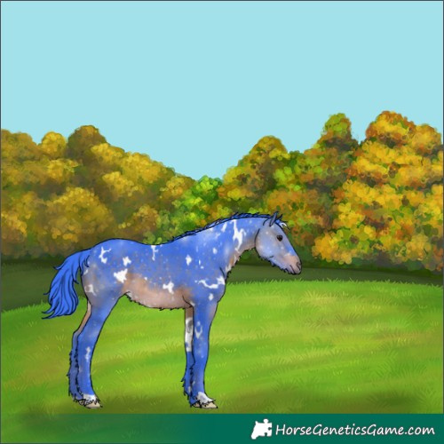 Horse Color:Watercolor White Spotted Brown