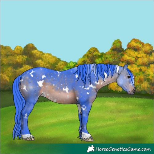 Horse Color:Watercolor White Spotted Brown 