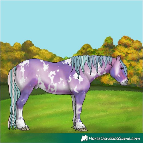 Horse Color:Painted Watercolor White Spotted Silver Brown Onyx