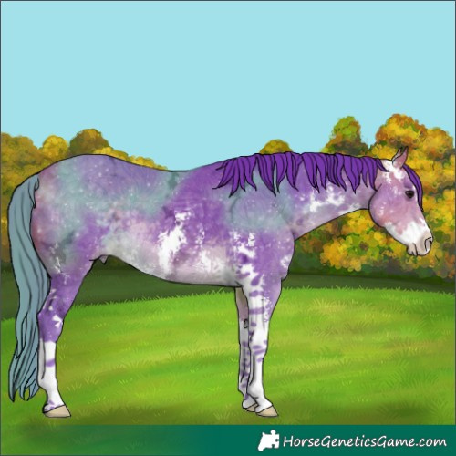 Horse Color:Watercolor Buckskin Ice Sabino