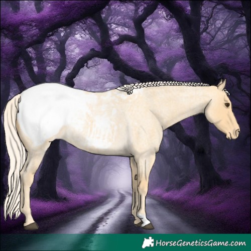 Horse Color:Palomino Roan Snowcap 