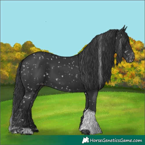 Horse Color:Black Tobiano Snowflake Varnish