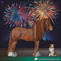 Horse Color:Chestnut Snowflake Varnish and Chestnut Snowflake Varnish