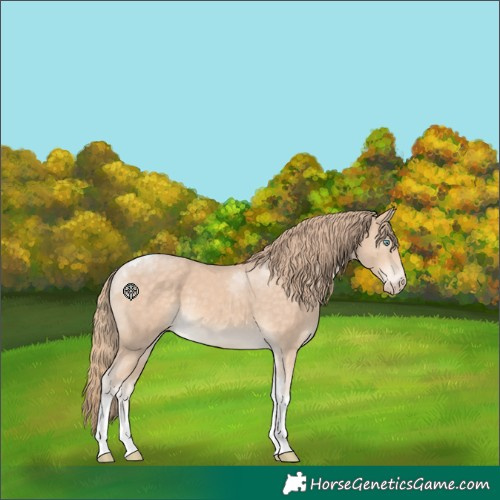 Horse Color:Chocolate Perlino Tobiano