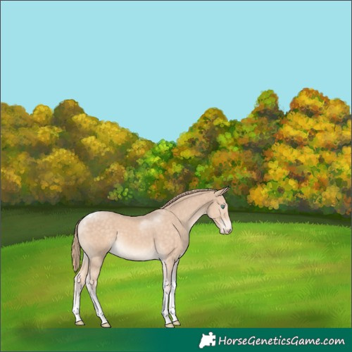 Horse Color:Chocolate Perlino Tobiano