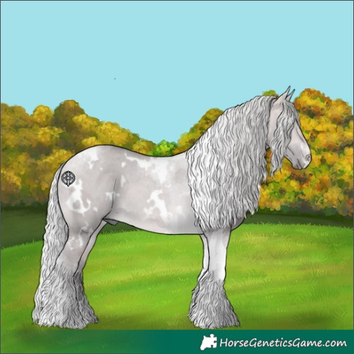 Horse Color:Platinum White Spotted Silver Buckskin Dun Tobiano Rabicano