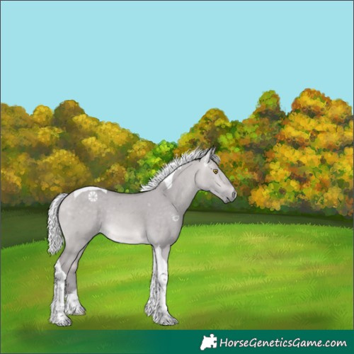 Horse Color:Platinum Silver Buckskin Dun Tobiano Rabicano