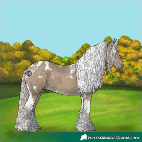 Horse Color:White Spotted Silver Smoky Grullo Tobiano Rabicano 