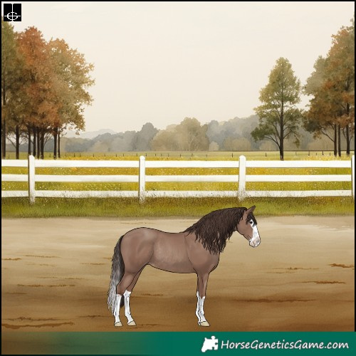 Horse Color:Classic Champagne Splash Rabicano
