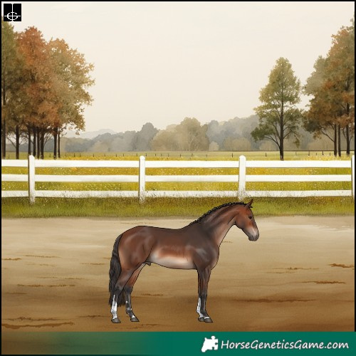 Horse Color:Bay Tobiano Rabicano 