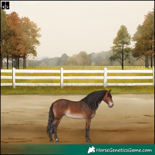 Horse Color:Bay Rabicano