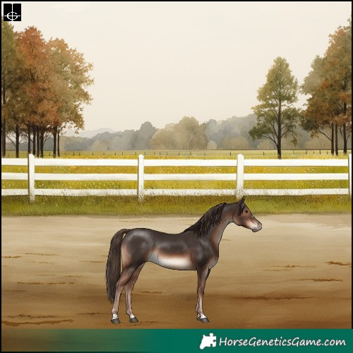 Horse Color:Liver Chestnut Rabicano 