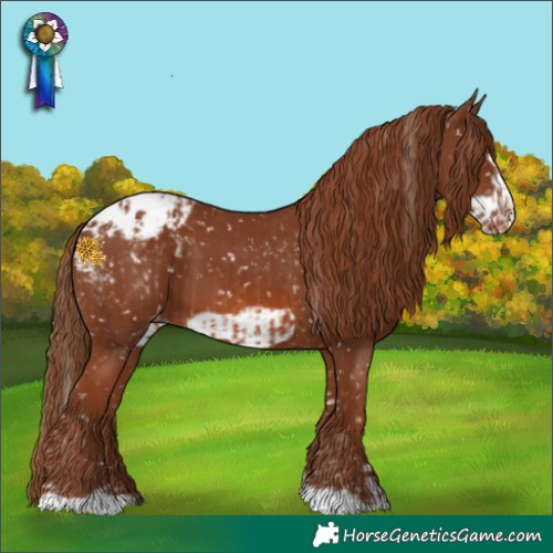 Horse Color:Chestnut Blanket and Chestnut Frame Blanket