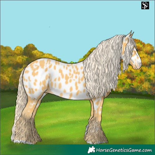 Horse Color:Palomino Near Leopard  and Palomino Splash Near Leopard 