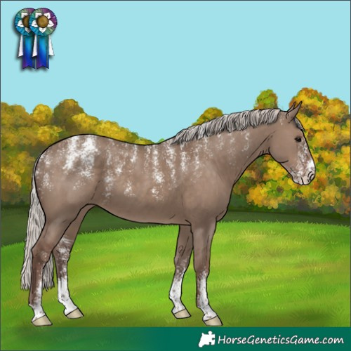 Horse Color:Powder White Silver Grullo