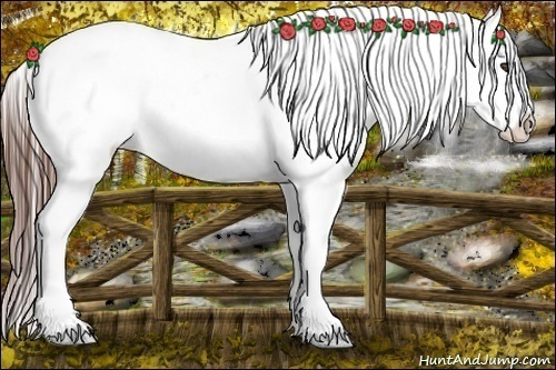 Horse Color:Brown Near Leopard