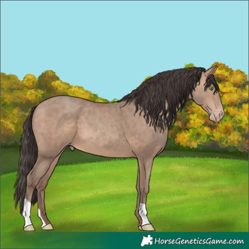Horse Color:Sable Champagne