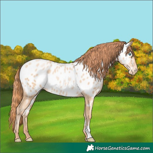 Horse Color:Sable Champagne Pearl Near Leopard