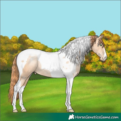Horse Color:Classic Champagne Pearl Tobiano Rabicano