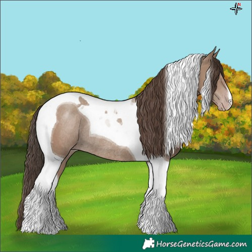 Horse Color:Classic Champagne Tobiano Rabicano