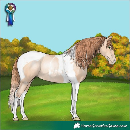 Horse Color:Classic Champagne Pearl Tobiano Rabicano