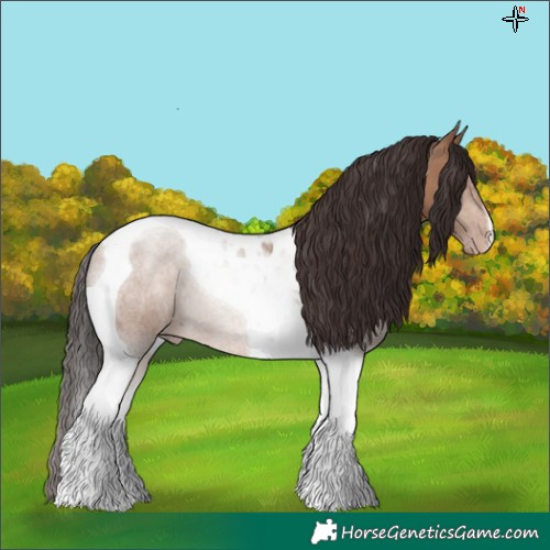 Horse Color:Sable Champagne Tobiano