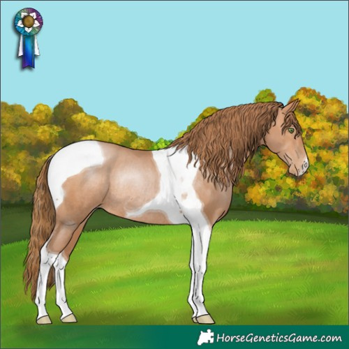 Horse Color:Brown Pearl Tobiano Rabicano