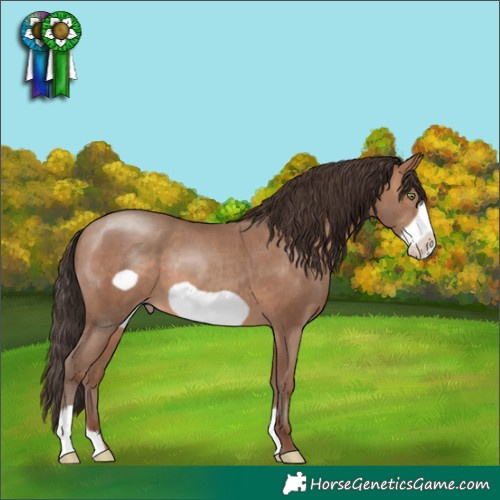Horse Color:Sable Champagne Frame