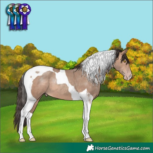 Horse Color:Sable Champagne Tobiano 