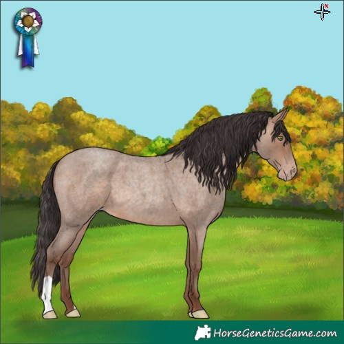Horse Color:Sable Champagne Roan