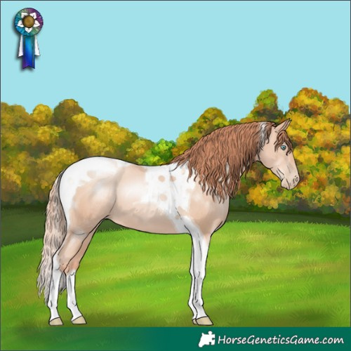 Horse Color:Sable Champagne Pearl Tobiano 