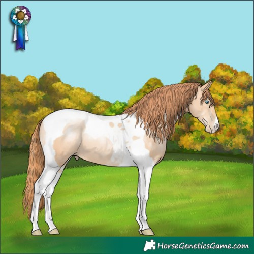 Horse Color:Amber Champagne Pearl Tobiano
