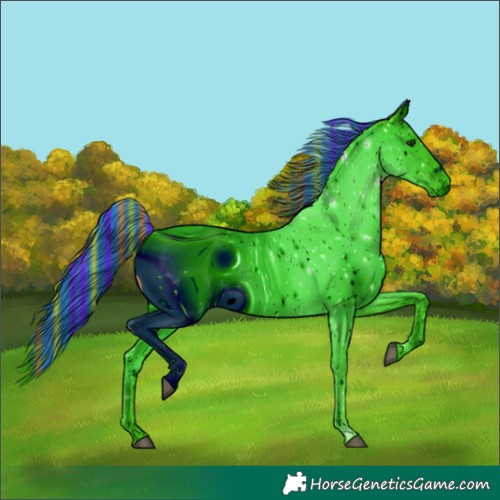 Horse Color:ERROR: UNKNOWN ANOMALY