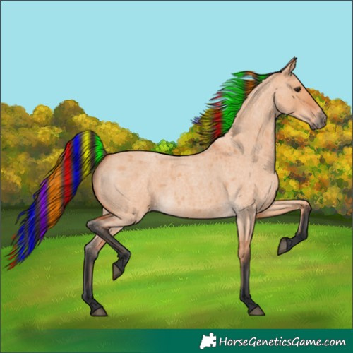 Horse Color:Painted Bay Roan Dun 