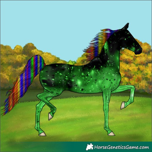 Horse Color:ERROR: UNKNOWN ANOMALY