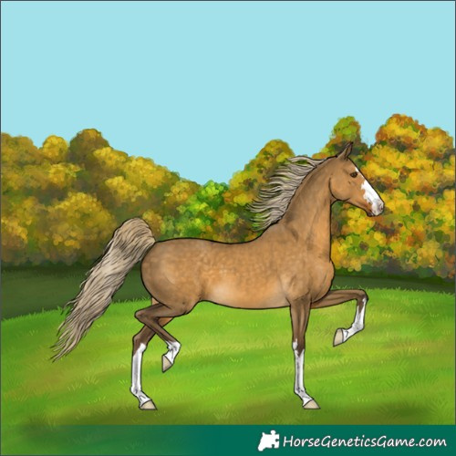 Horse Color:Chocolate Palomino Dun Mushroom