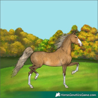 Horse Color:Chocolate Palomino Dun Mushroom 