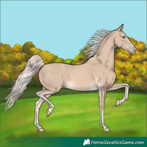 Horse Color:Cremello 