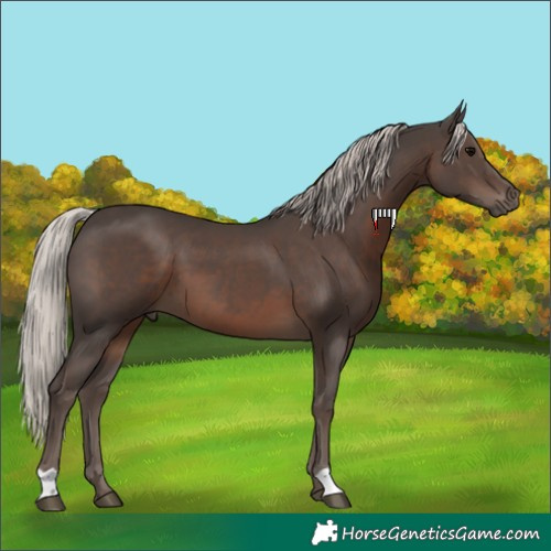 Horse Color:Silver Black