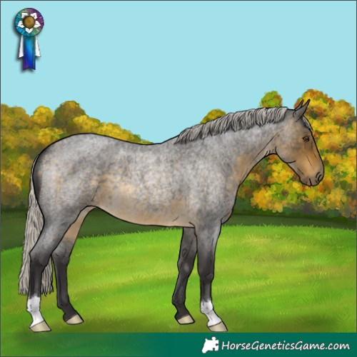 Horse Color:Silver Buckskin Roan 