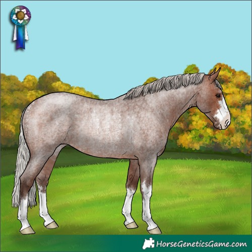 Horse Color:Silver Brown Roan Rabicano