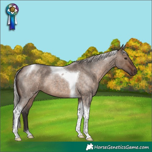 Horse Color:Silver Brown Roan Dun Tobiano