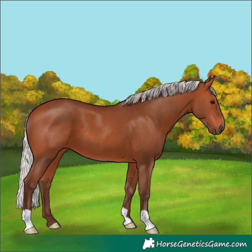 Horse Color:Silver Bay