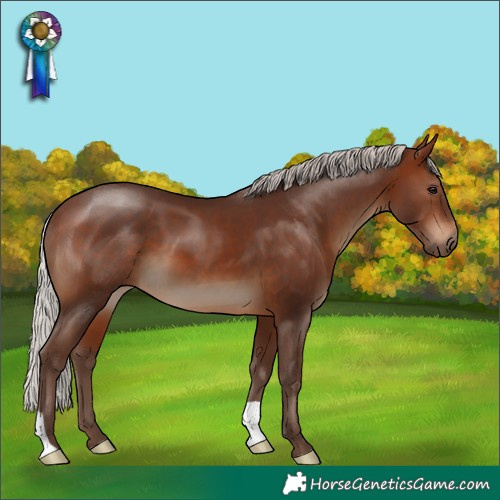 Horse Color:Silver Brown 