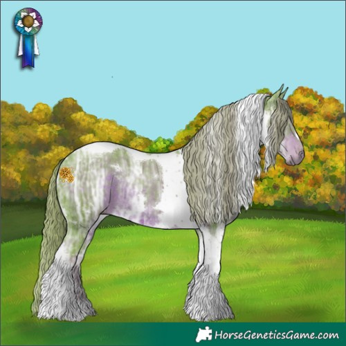 Horse Color:Gray Watercolor White Spotted Liver Chestnut Ice Tobiano Appaloosa Rabicano