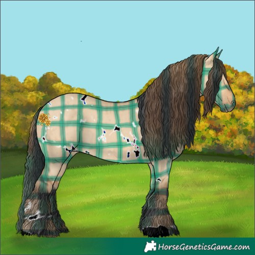 Horse Color:Plaid White Spotted Bay Dun Brindle