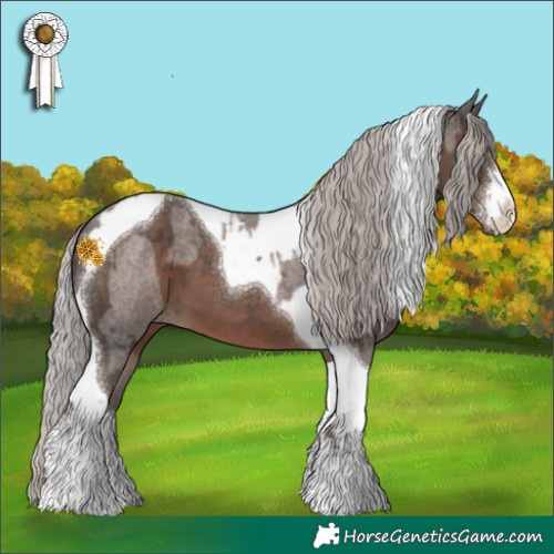 Horse Color:White Spotted Silver Blue Roan and White Spotted Silver Black Tobiano