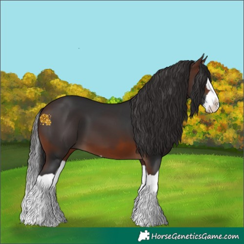 Horse Color:Brown Splash 